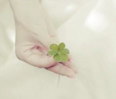 杨贵妃身材其实超好？乡民惊像这AV女优、蔡阿嘎还合照过