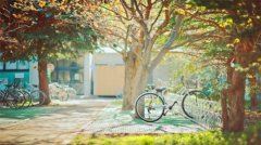 张丽华15岁就为皇帝生儿子，最后却因太美被杀